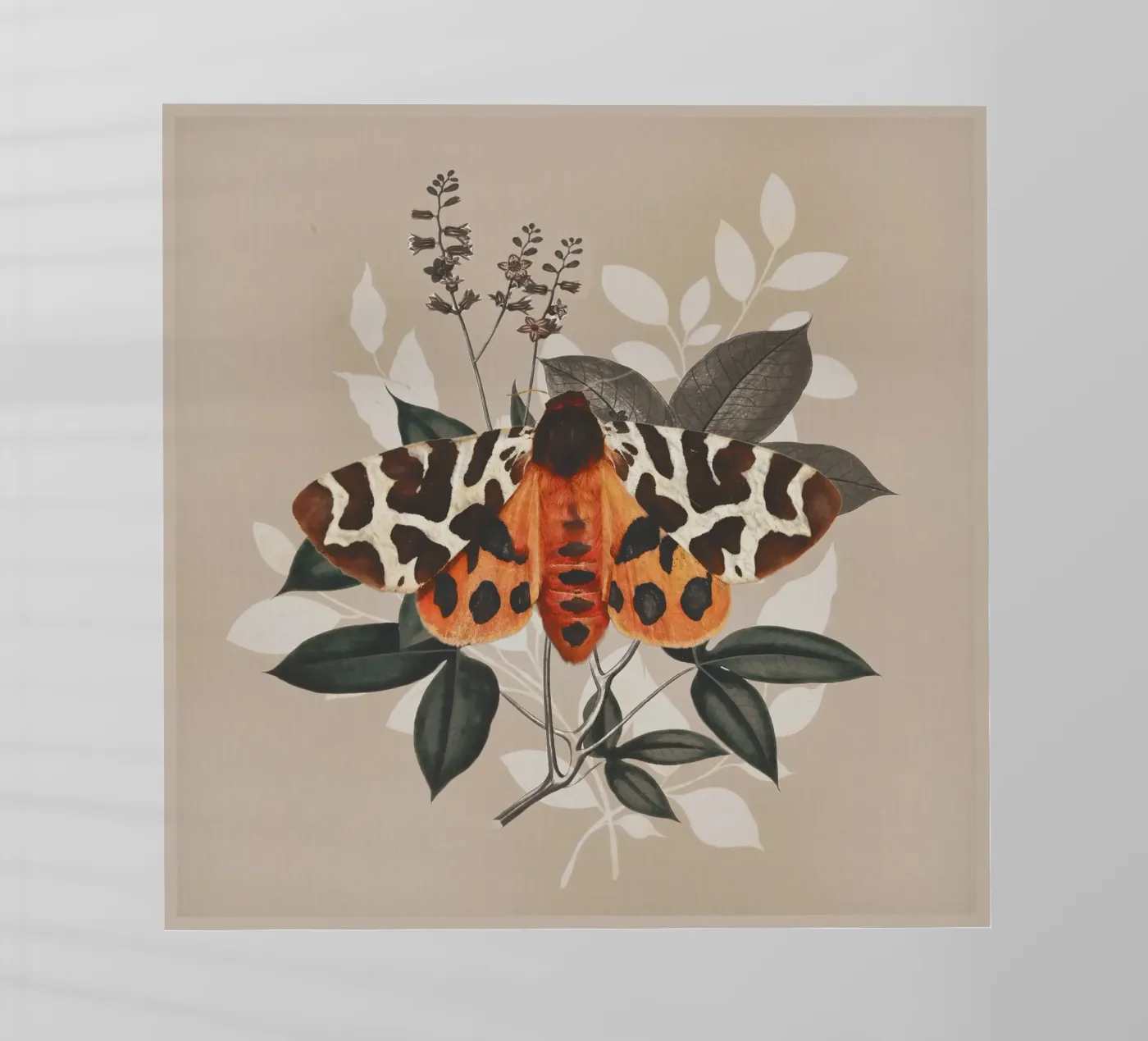 Vlinder backlit folie van dada22