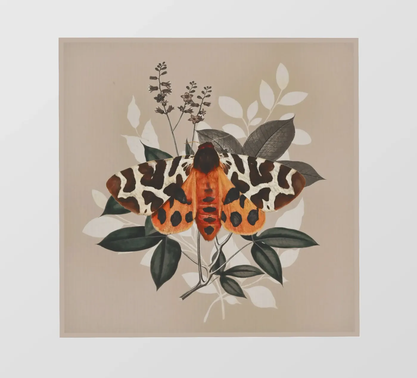 Vlinder backlit folie van dada22