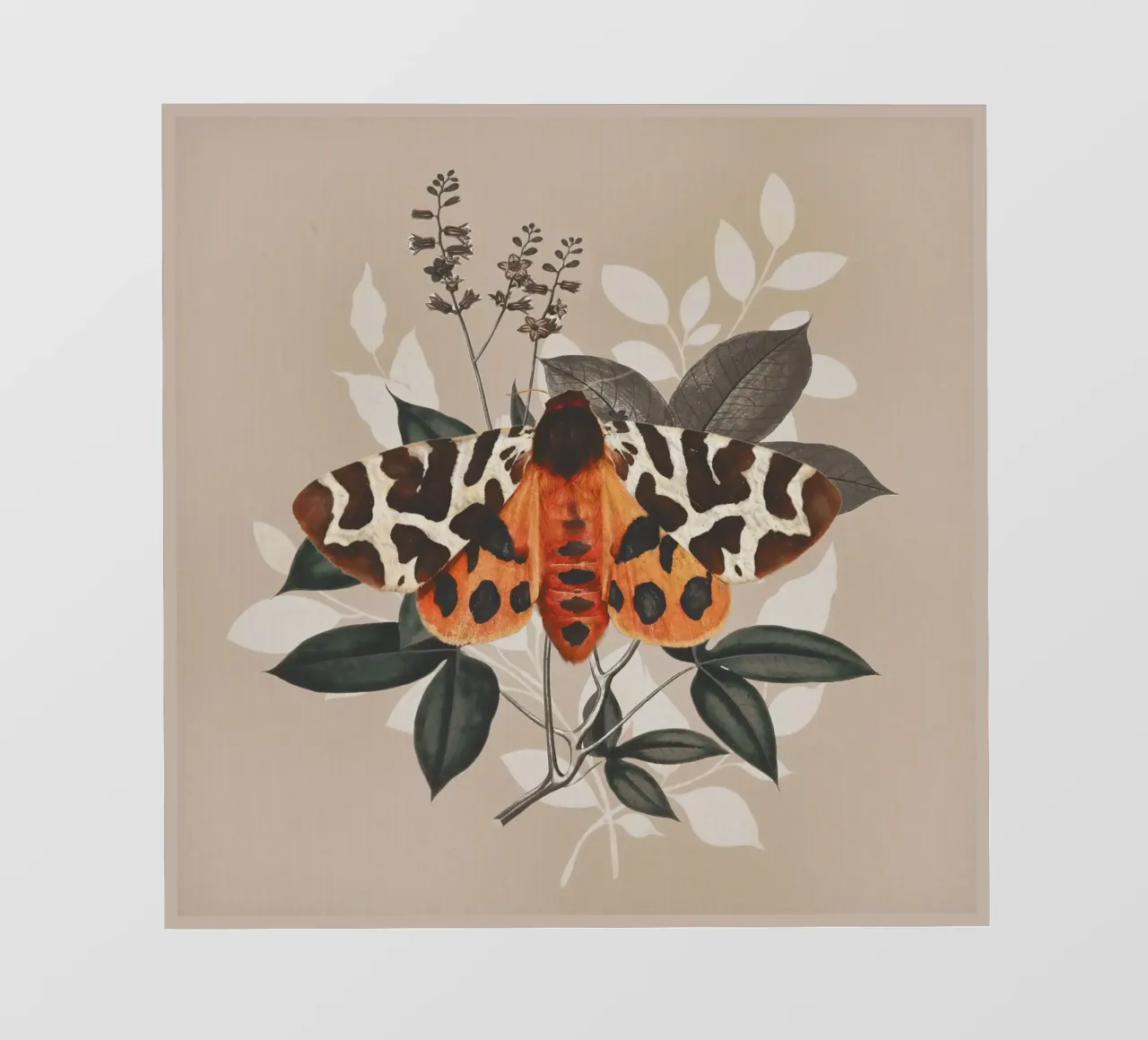 Farfalla pellicola backlit da dada22