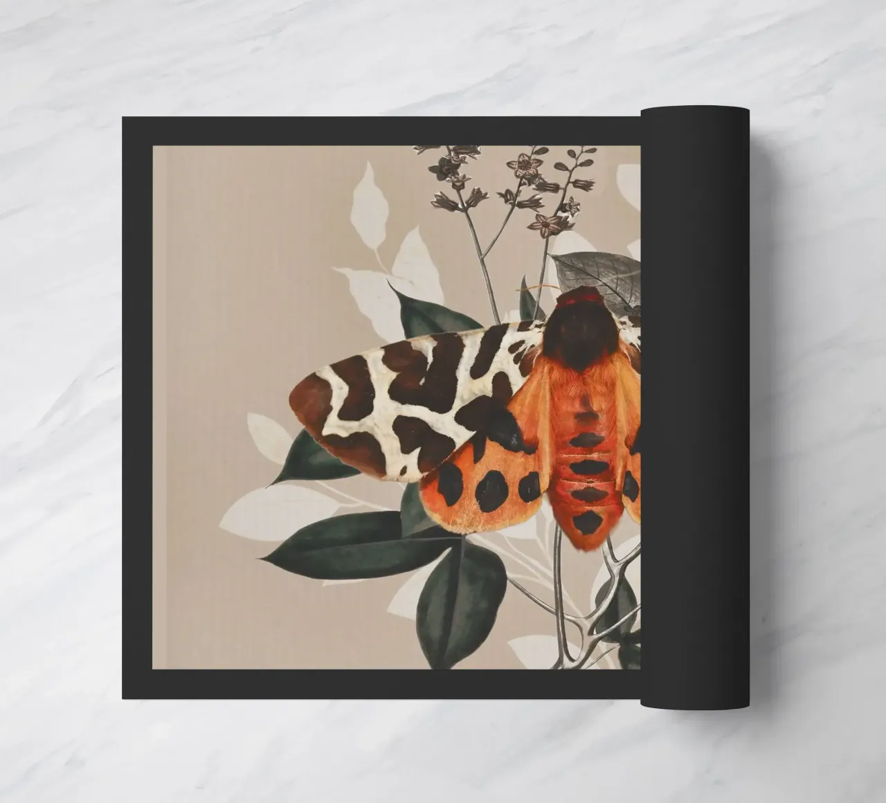 Farfalla zerbino da dada22