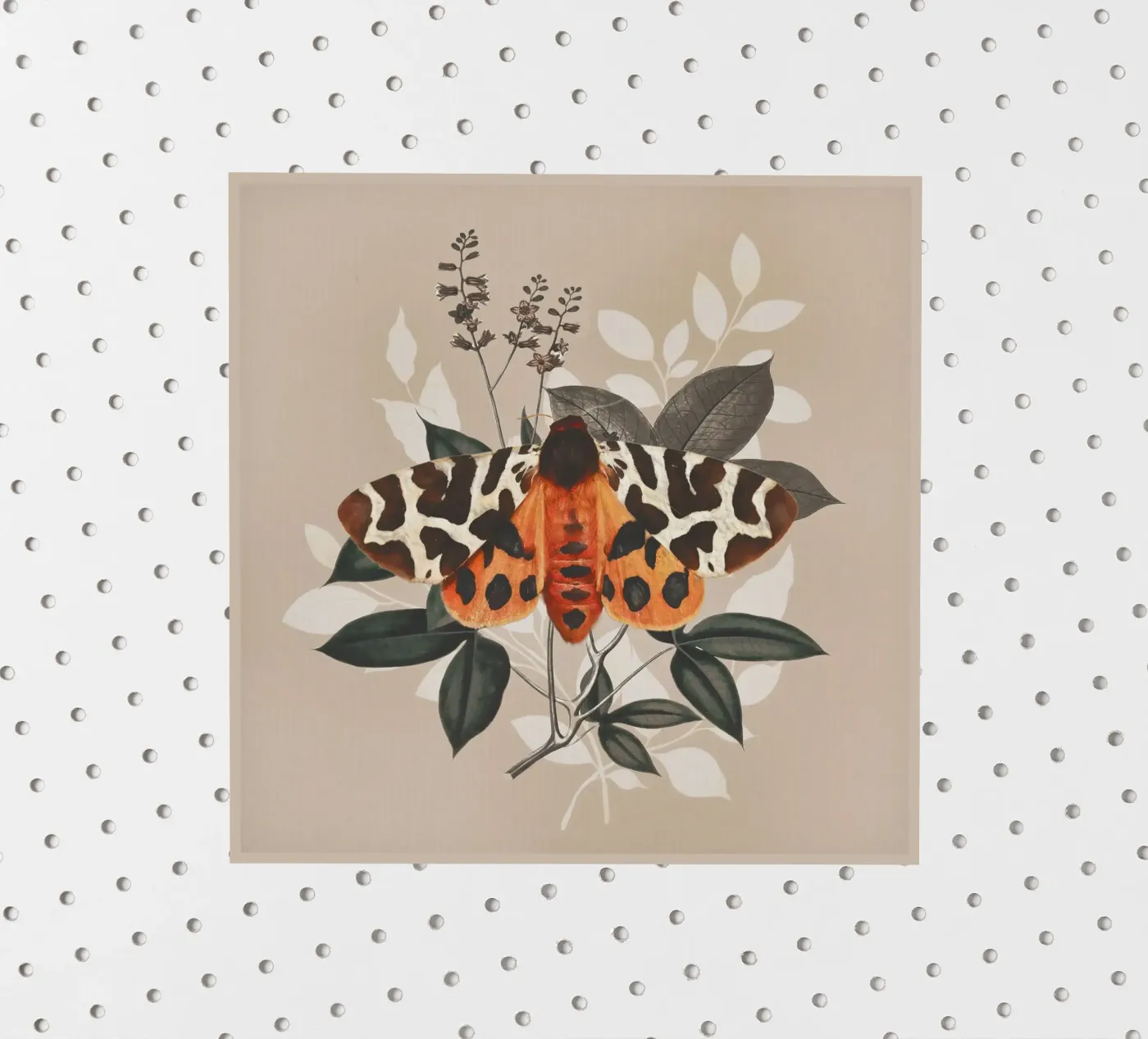 Butterfly adesivo da dada22