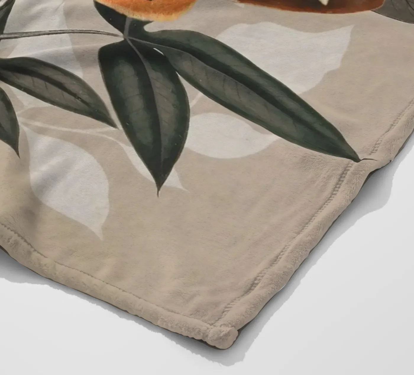 Farfalla coperta in pile da dada22