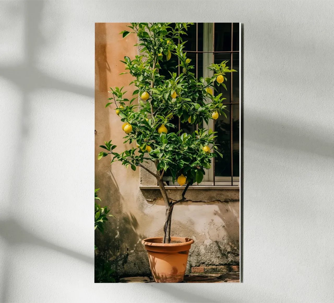 Lemon Tree alluminio dibond da Artsy Bessy