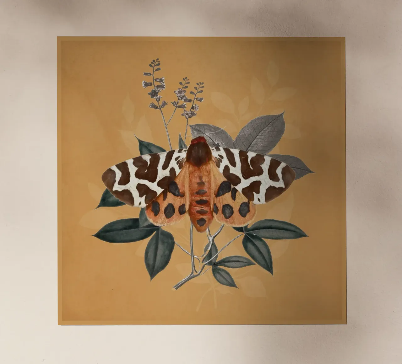 Farfalla 2 pellicola backlit da dada22