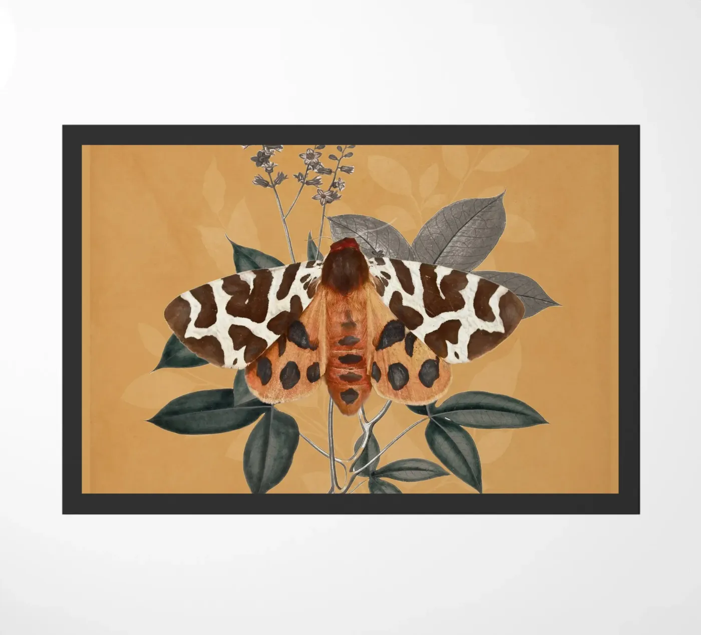 Farfalla 2 zerbino da dada22