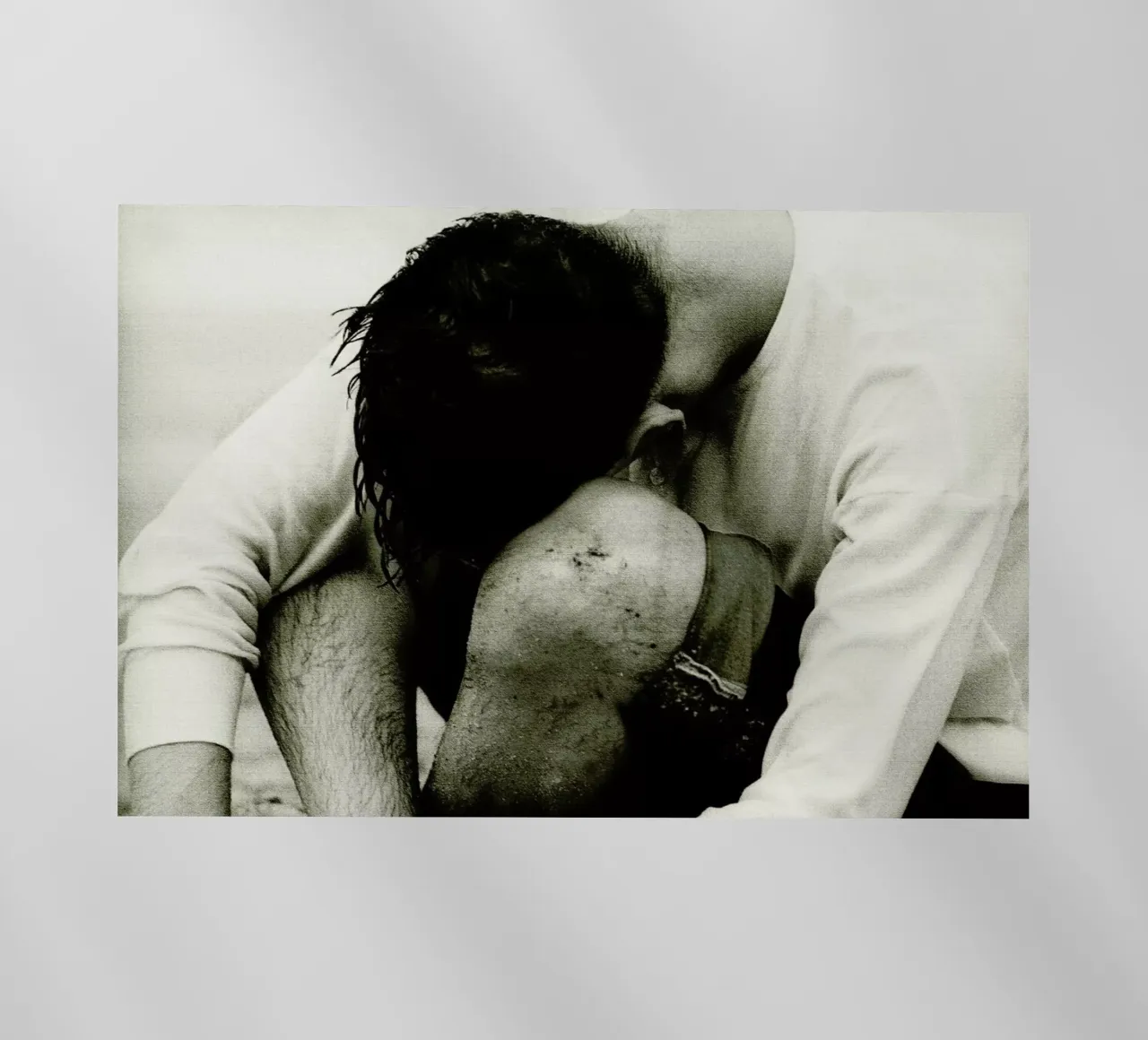 Sheepish pellicola backlit da Sophie Etchart