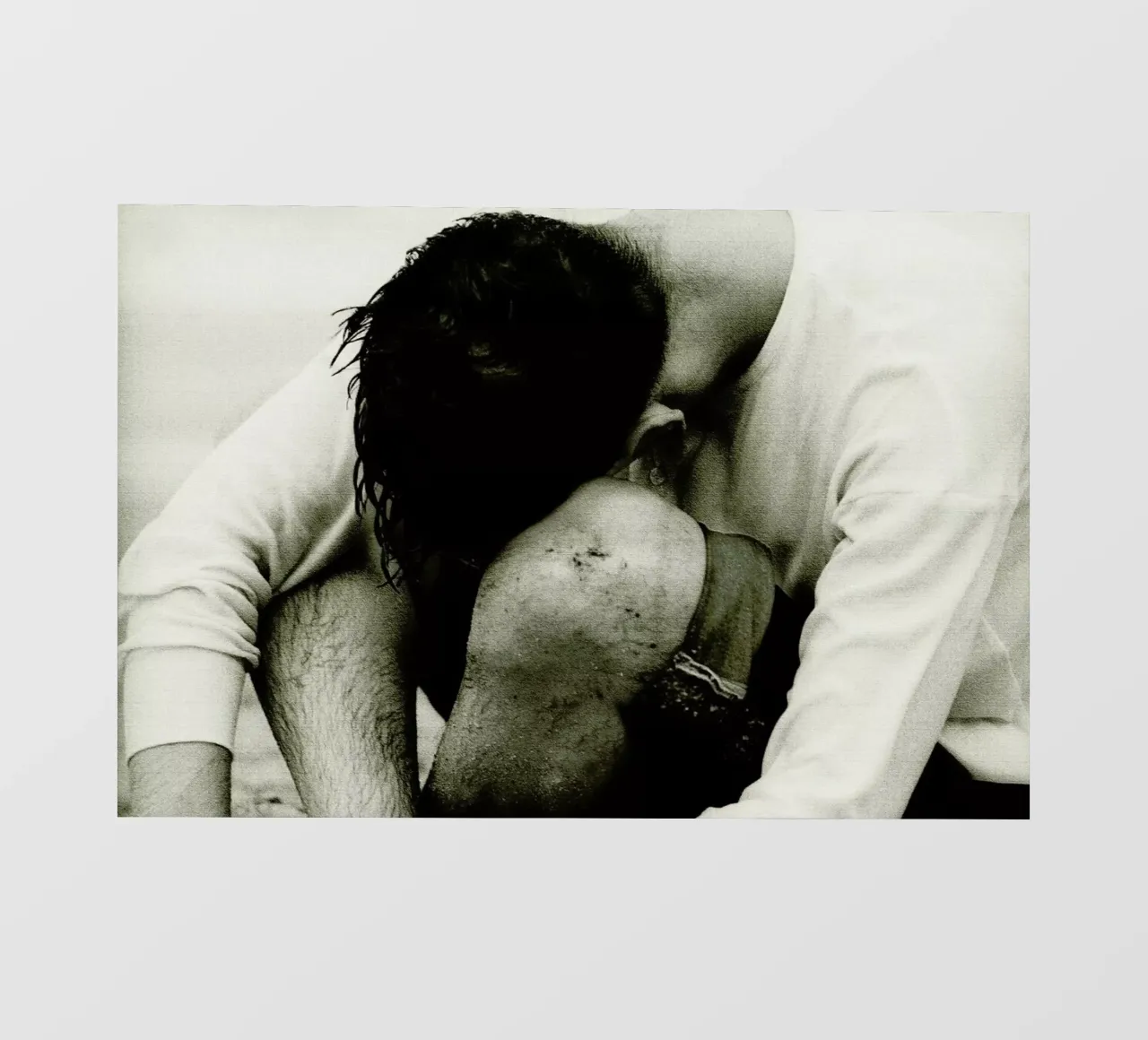 Sheepish pellicola backlit da Sophie Etchart