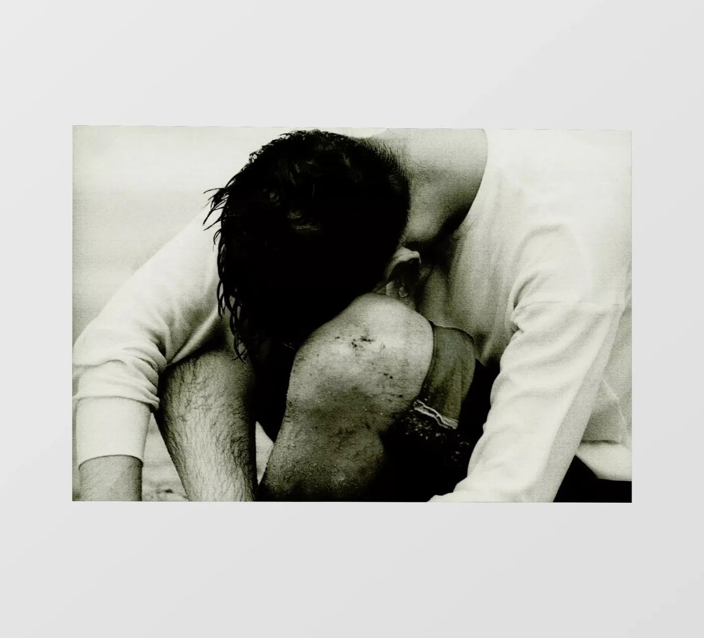 Sheepish pellicola backlit da Sophie Etchart