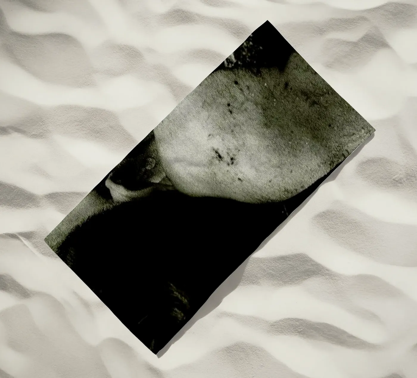 Sheepish telo mare da Sophie Etchart