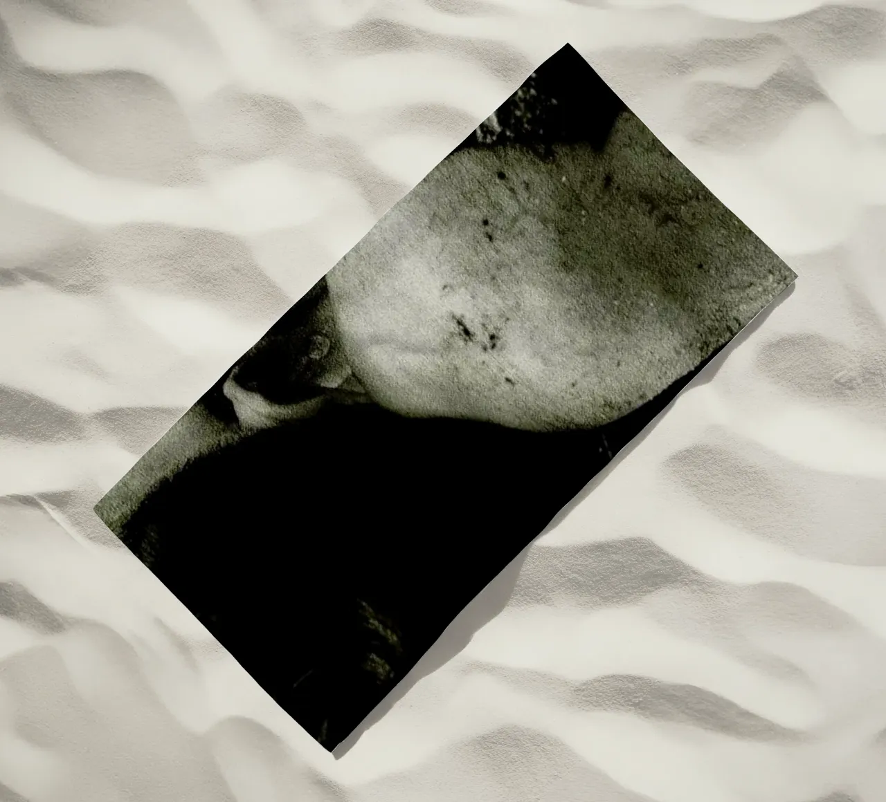 Sheepish telo mare da Sophie Etchart