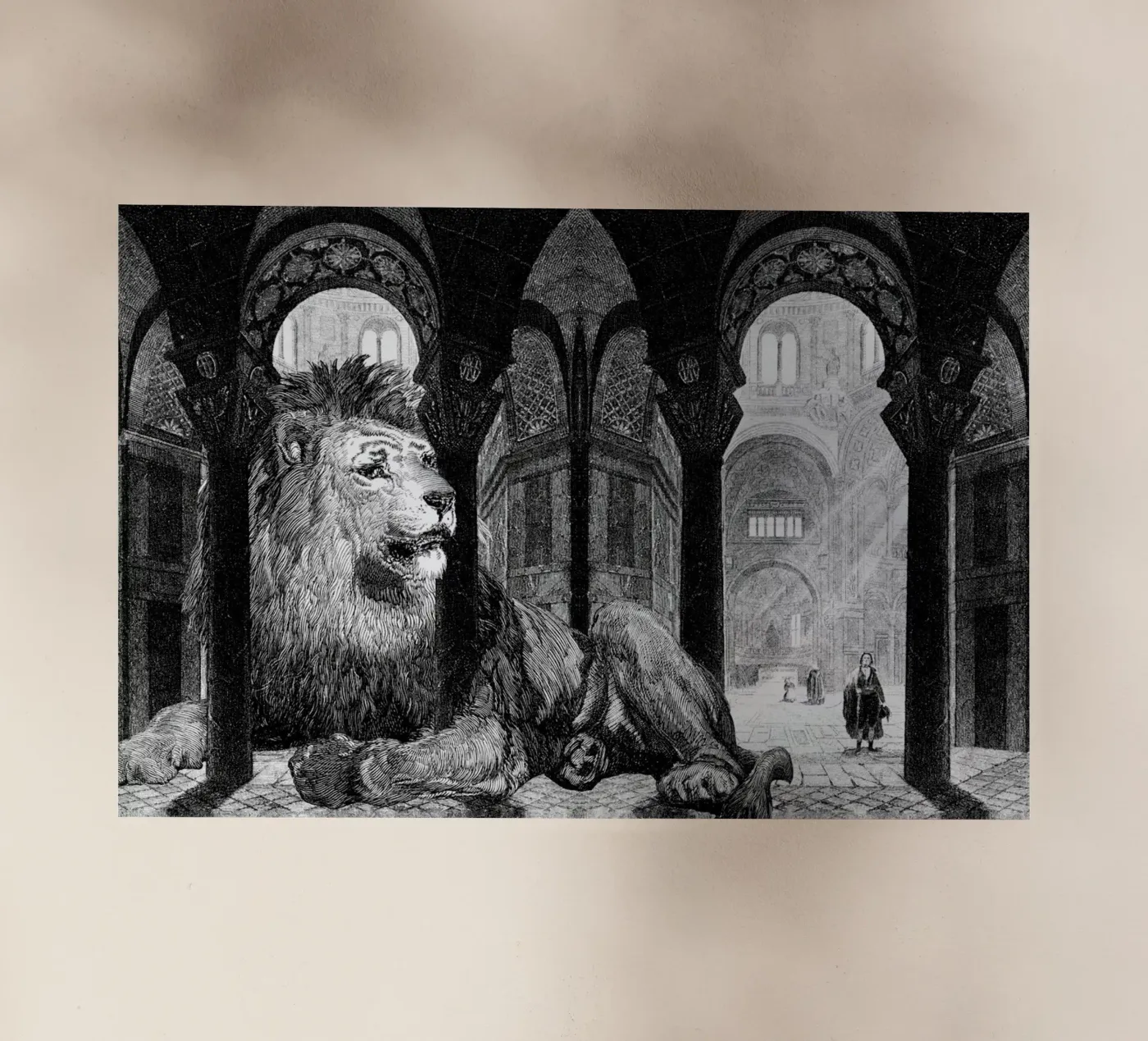 Godfrey pellicola backlit da The Gently Unfurling Sneak