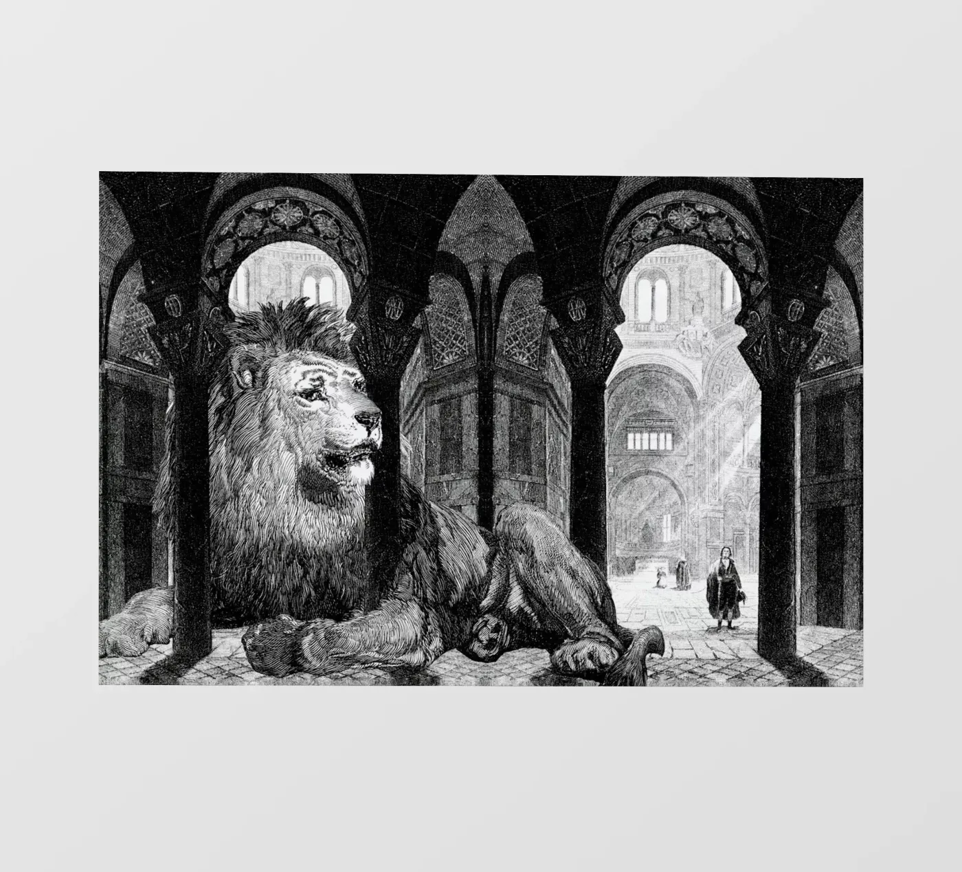 Godfrey pellicola backlit da The Gently Unfurling Sneak