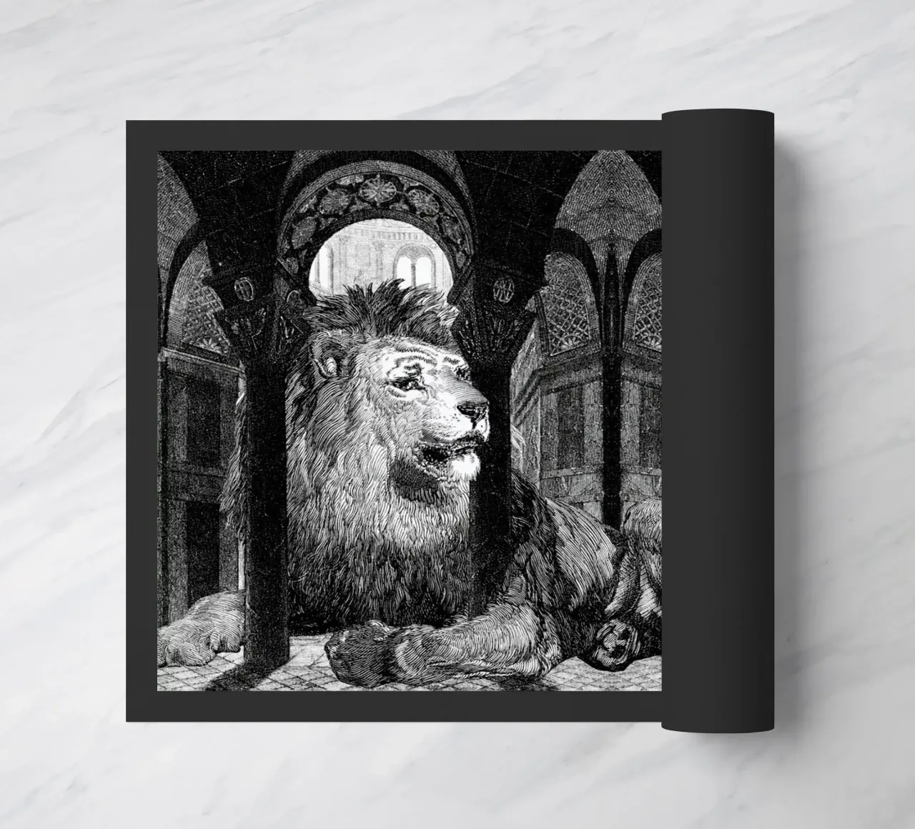 Godfrey zerbino da The Gently Unfurling Sneak