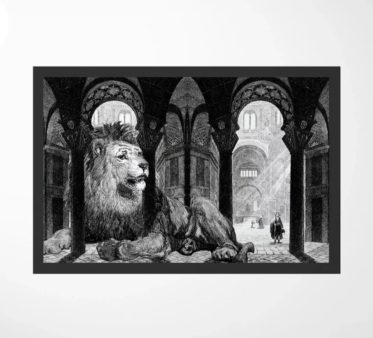 Godfrey zerbino da The Gently Unfurling Sneak