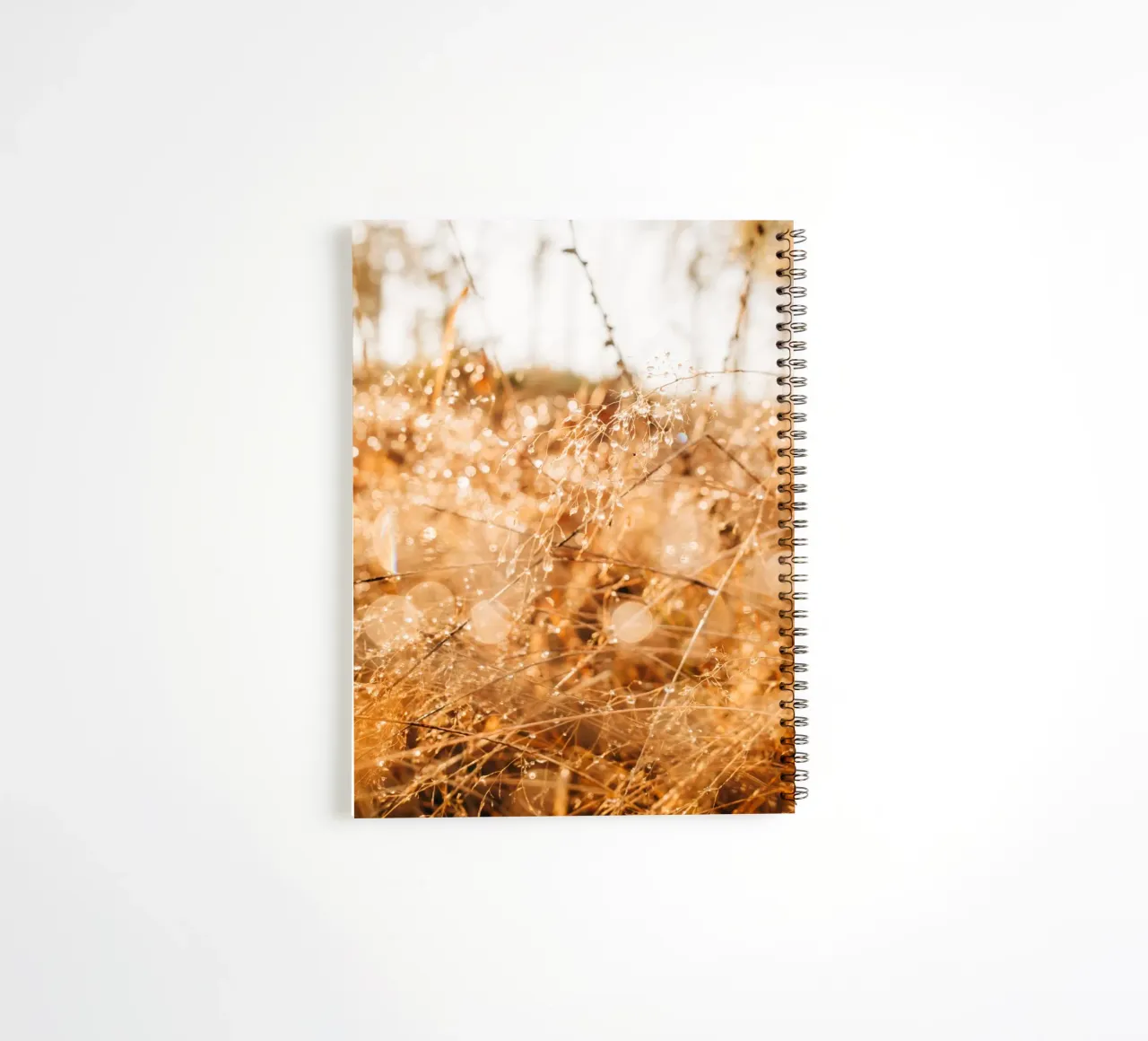 Drops of water on grass in the forest - dew in the morning light spiral notebook by Bold and Retro