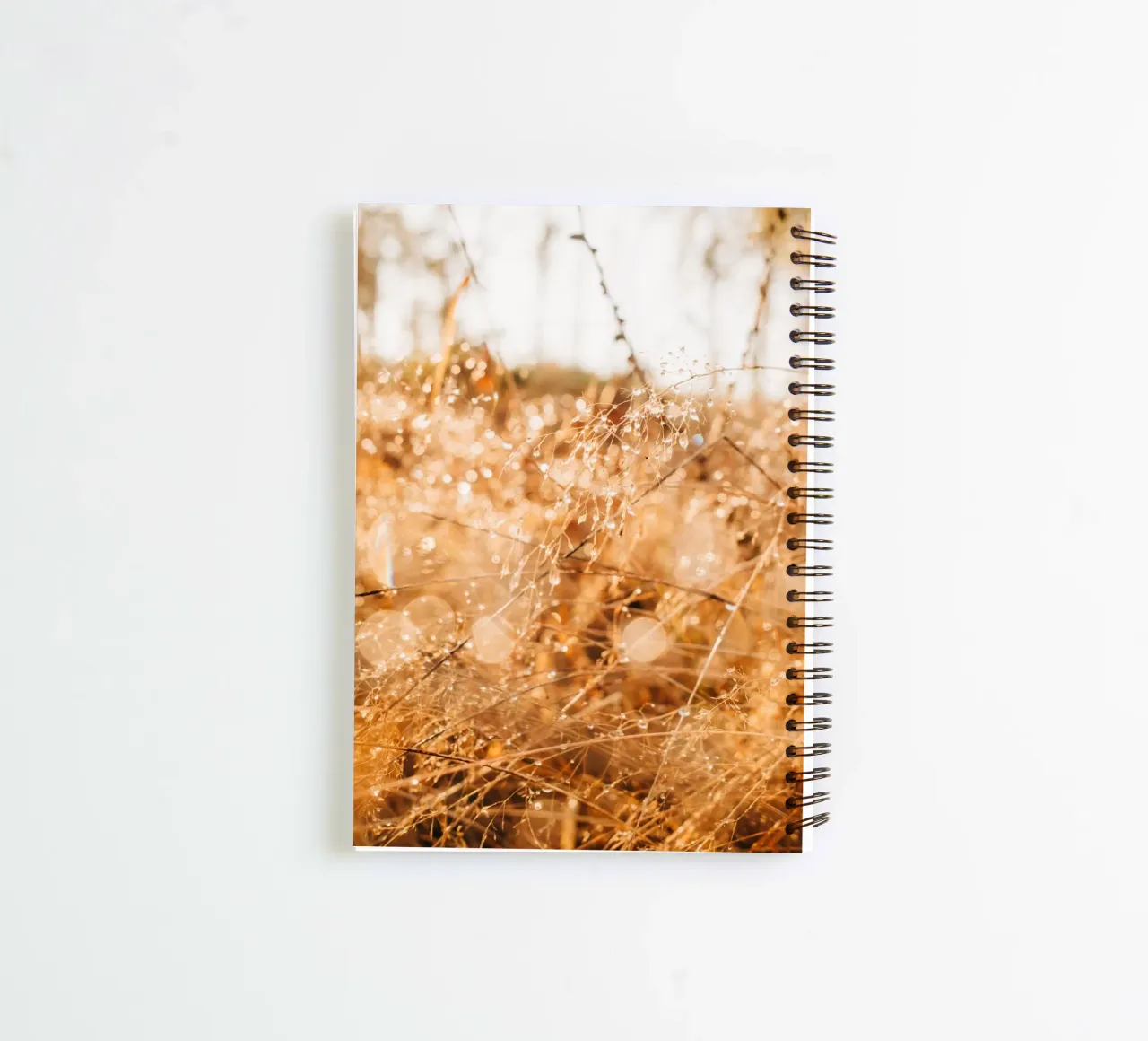 Drops of water on grass in the forest - dew in the morning light spiral notebook by Bold and Retro