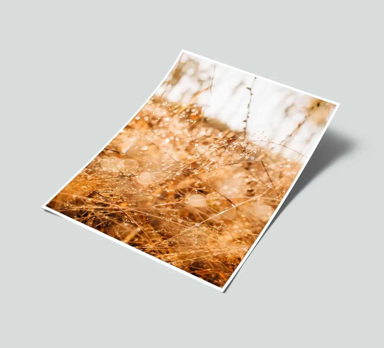 Drops of water on grass in the forest - dew in the morning light sticker sheet by Bold and Retro
