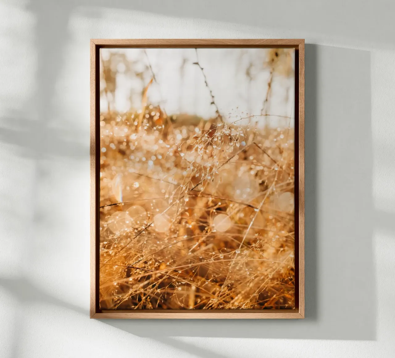 Drops of water on grass in the forest - dew in the morning light canvas by Bold and Retro