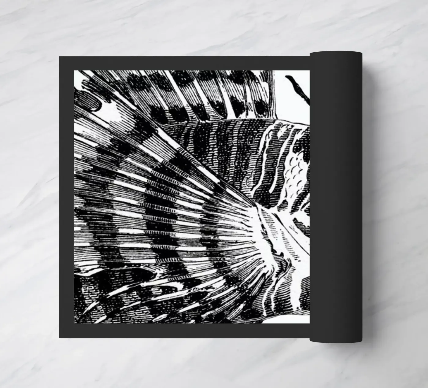Hey Lionfish zerbino da The Gently Unfurling Sneak