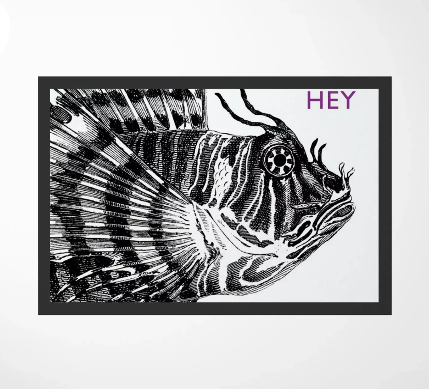 Hey Lionfish zerbino da The Gently Unfurling Sneak