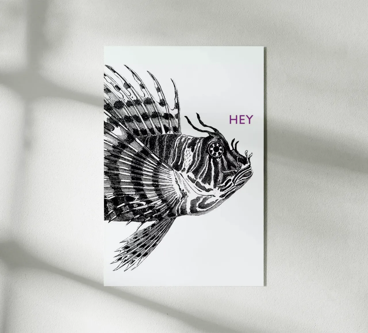 Hey Lionfish plexiglass da The Gently Unfurling Sneak