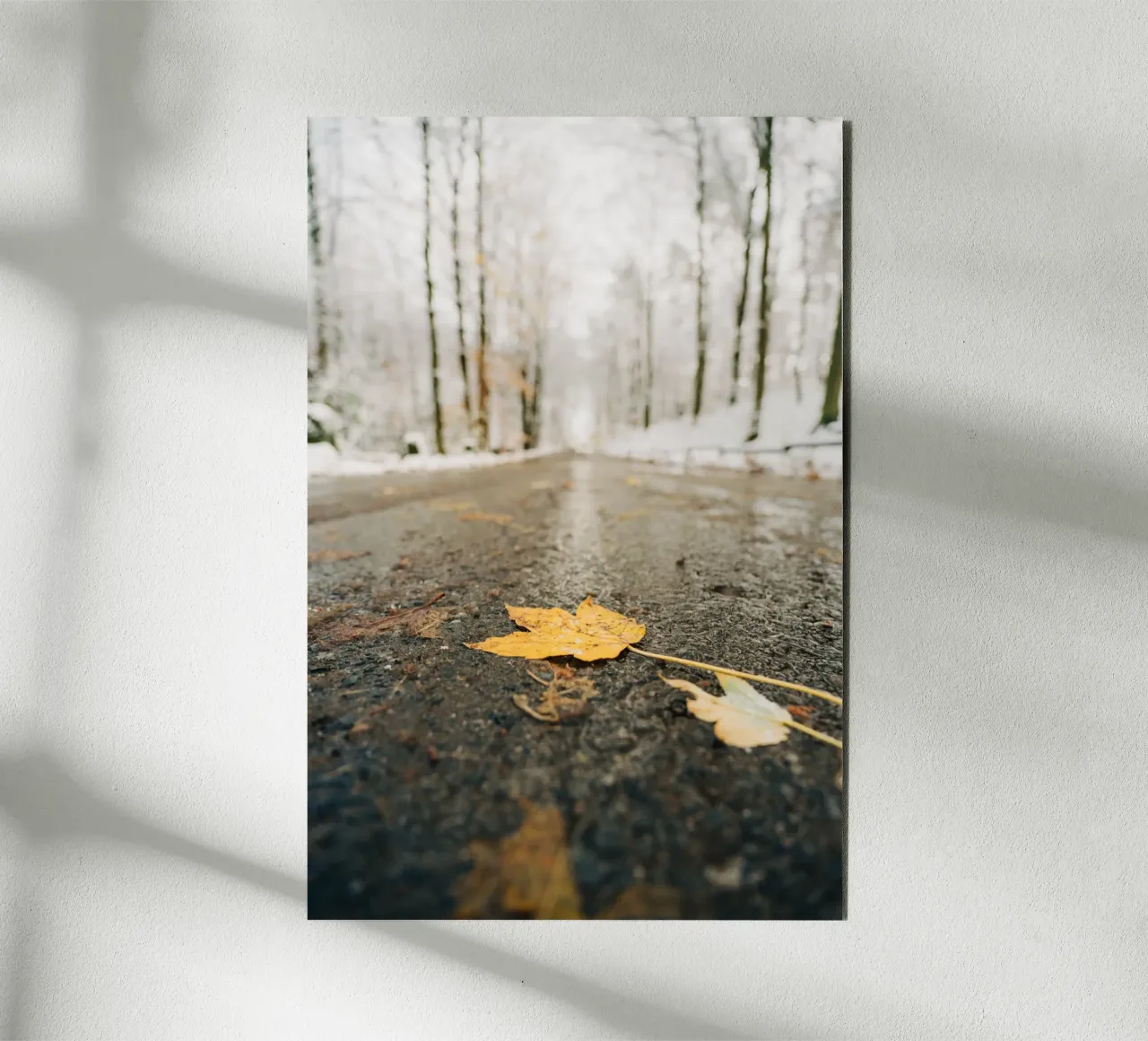 Foglie d'autunno su una strada invernale - Svizzera Sassone alluminio dibond da Bold and Retro