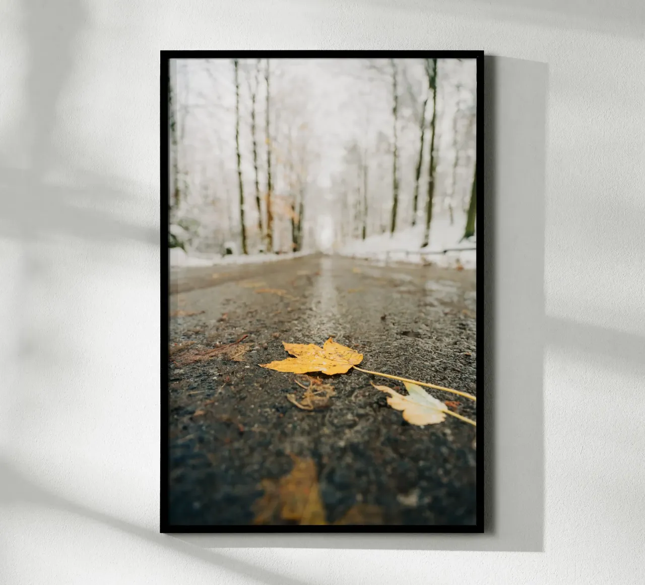 Foglie d'autunno su una strada invernale - Svizzera Sassone carta hahnemühle da Bold and Retro