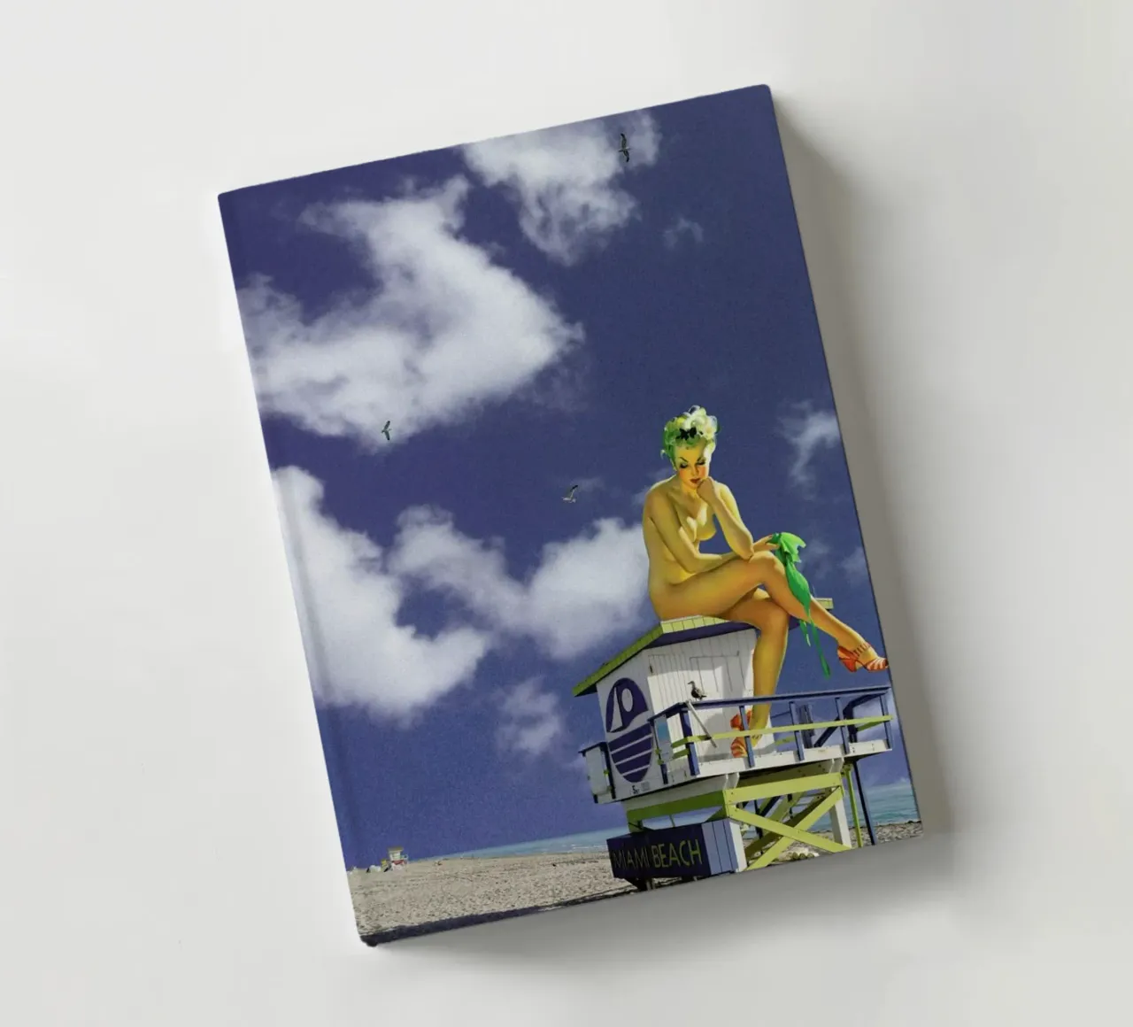 Miami Pinup notebook by Jason Brueck