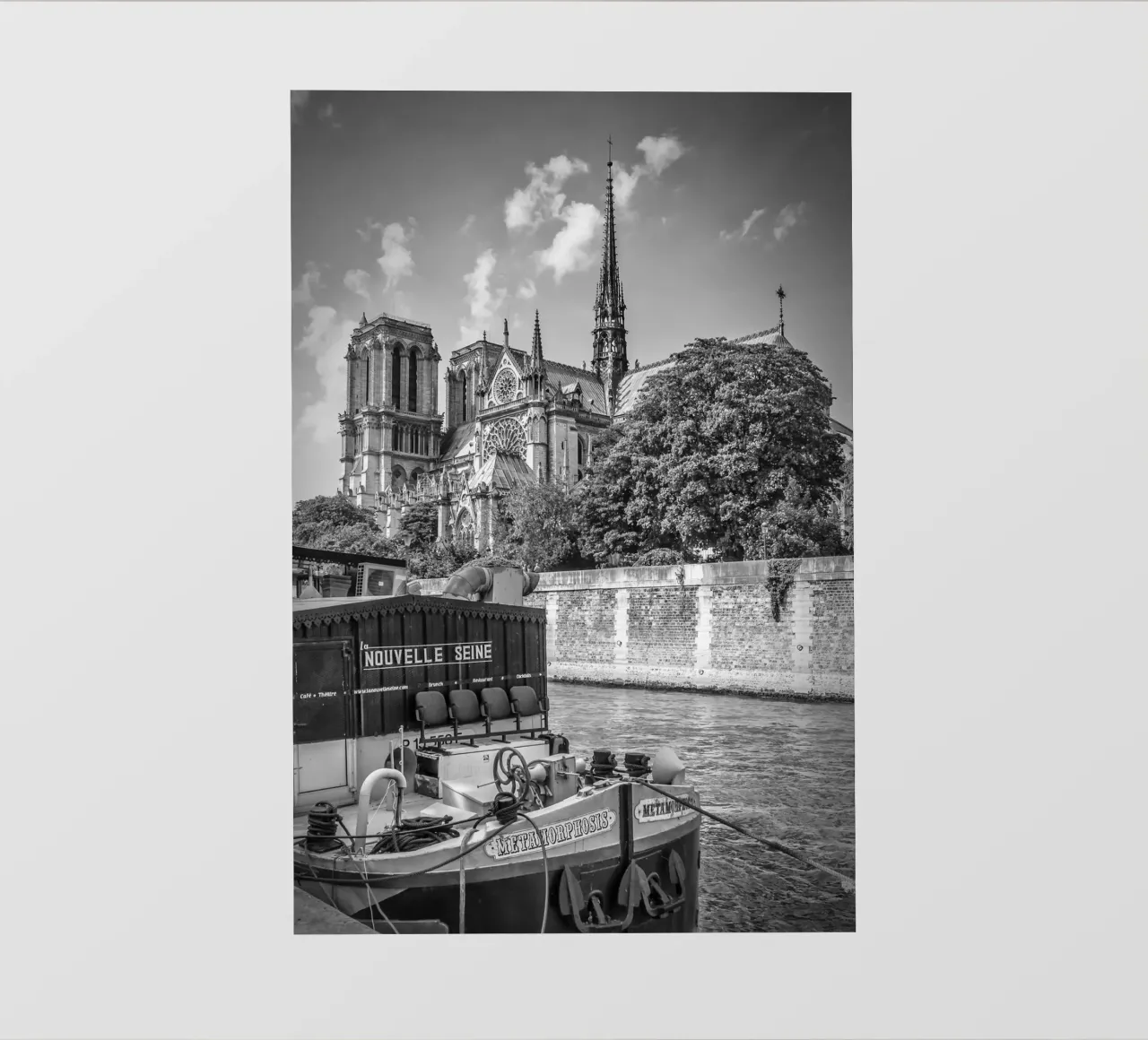 PARIGI Cattedrale di Notre-Dame | Monocromo telo in pvc da Melanie Viola