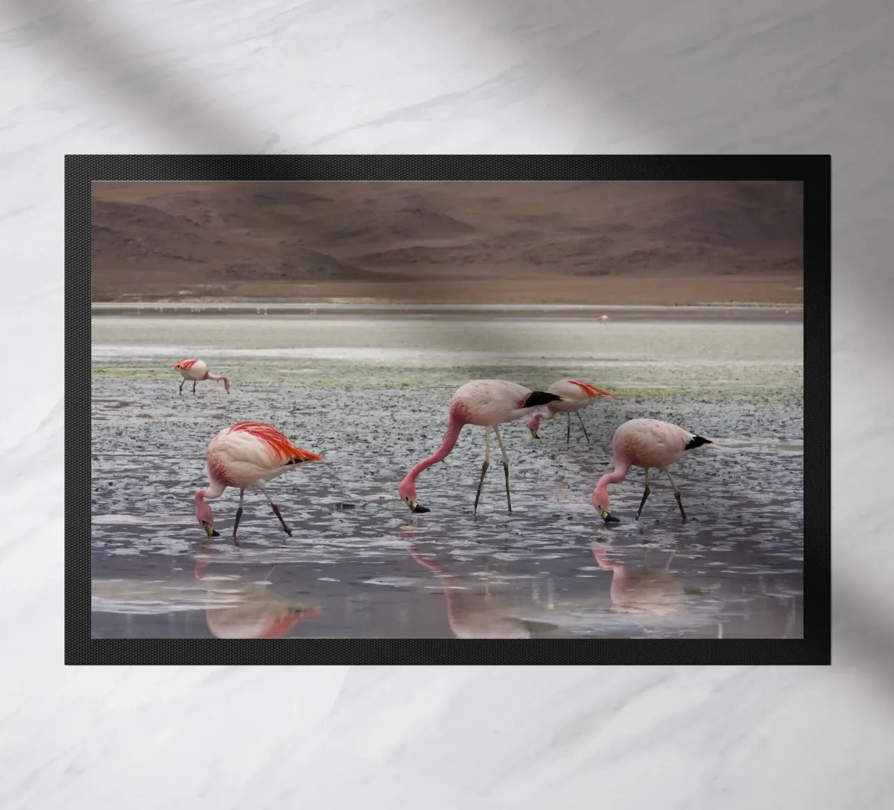 Flamingo Fußmatte von Alexey