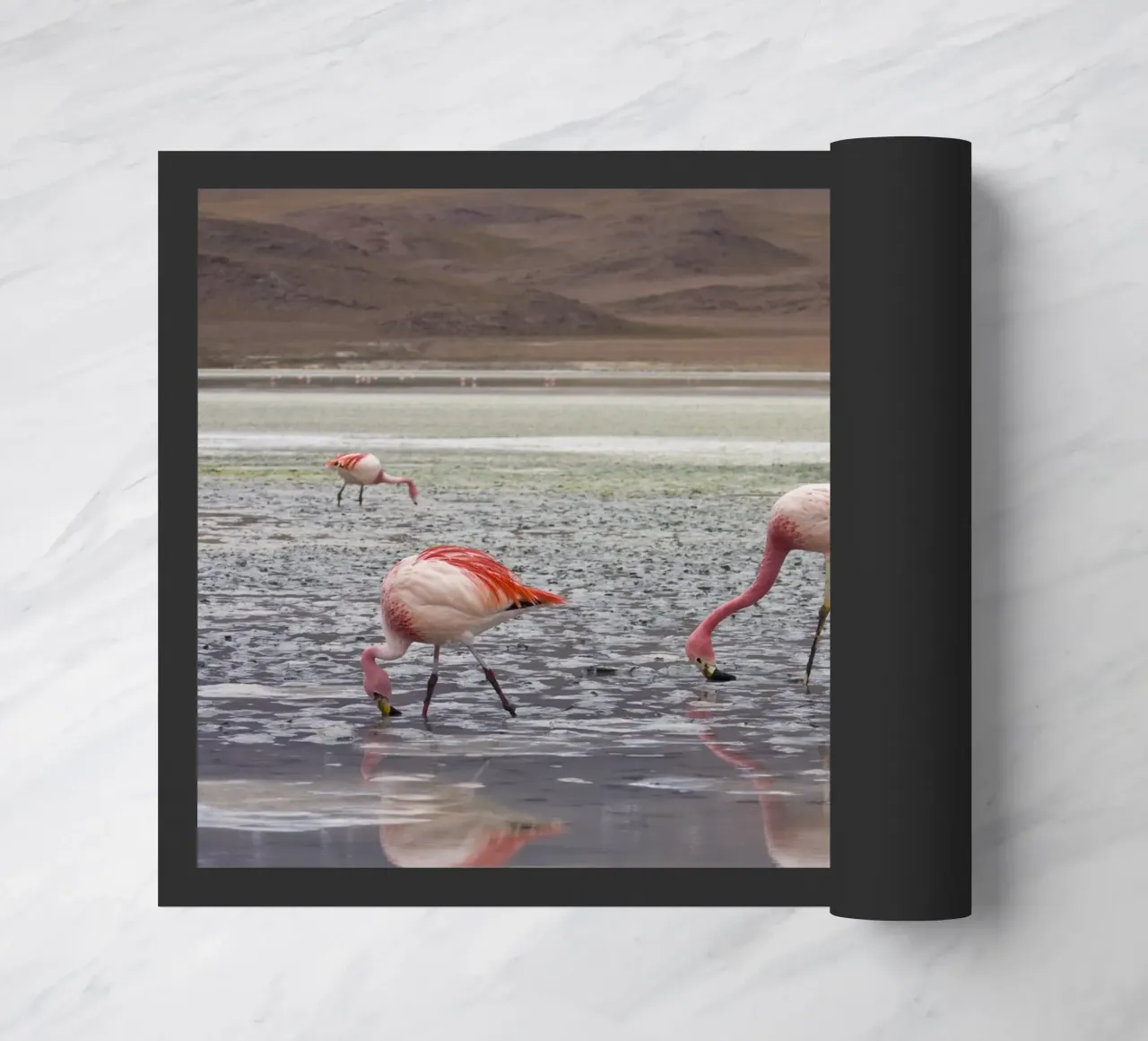 Flamingo Fußmatte von Alexey