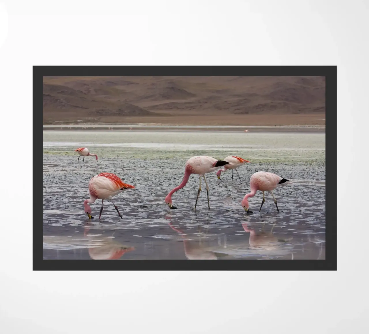 Flamingo Fußmatte von Alexey