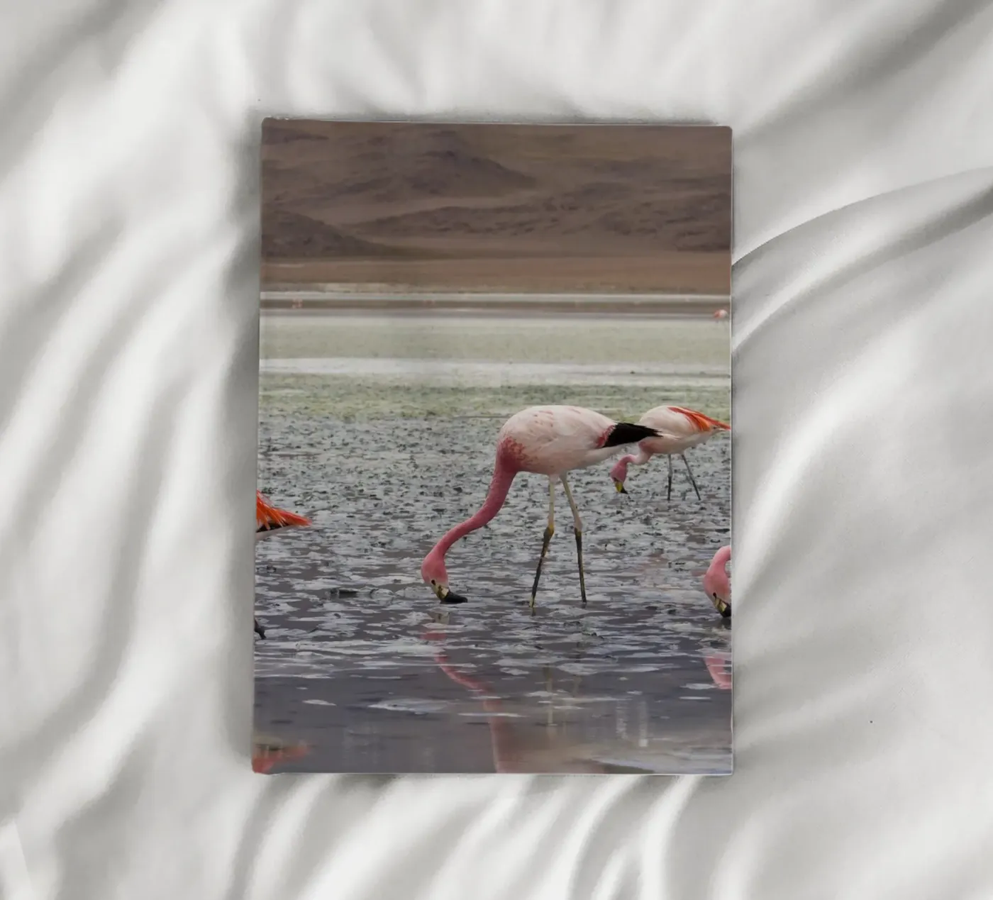 Flamingo notebook by Alexey