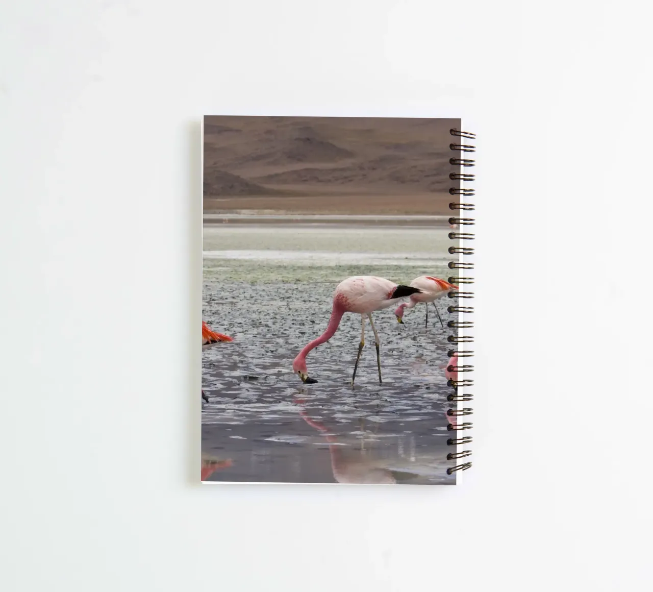 Flamingo spiral notebook by Alexey