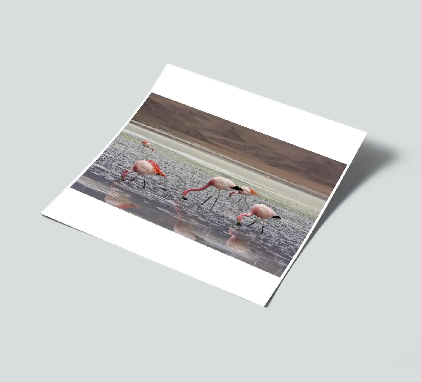 Flamingo sticker sheet by Alexey