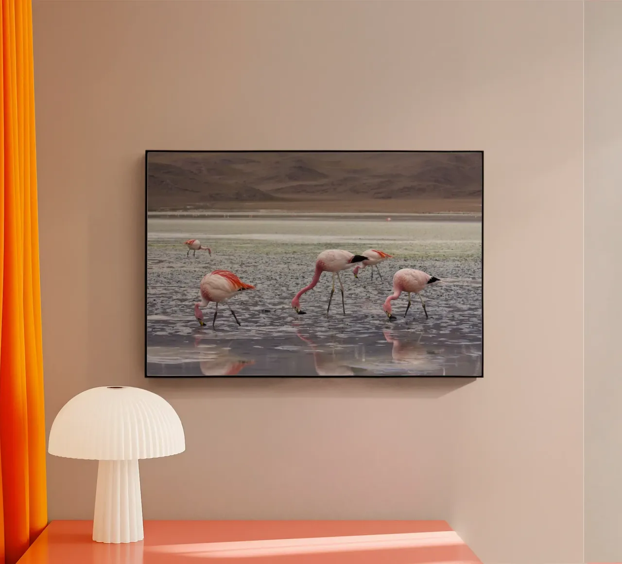 Fenicottero plexiglass da Alexey