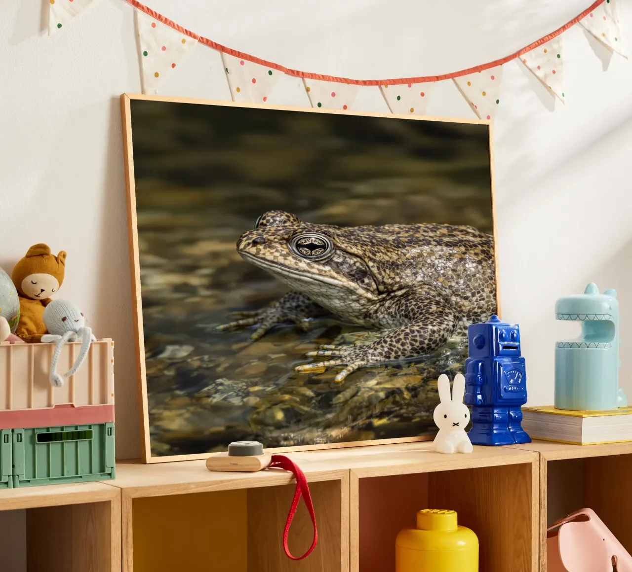 Il rospo berbero poster con telaio in alluminio da Art-Travel