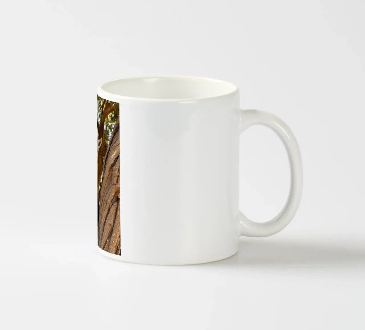 Quercia e argan tazza in ceramica da Art-Travel