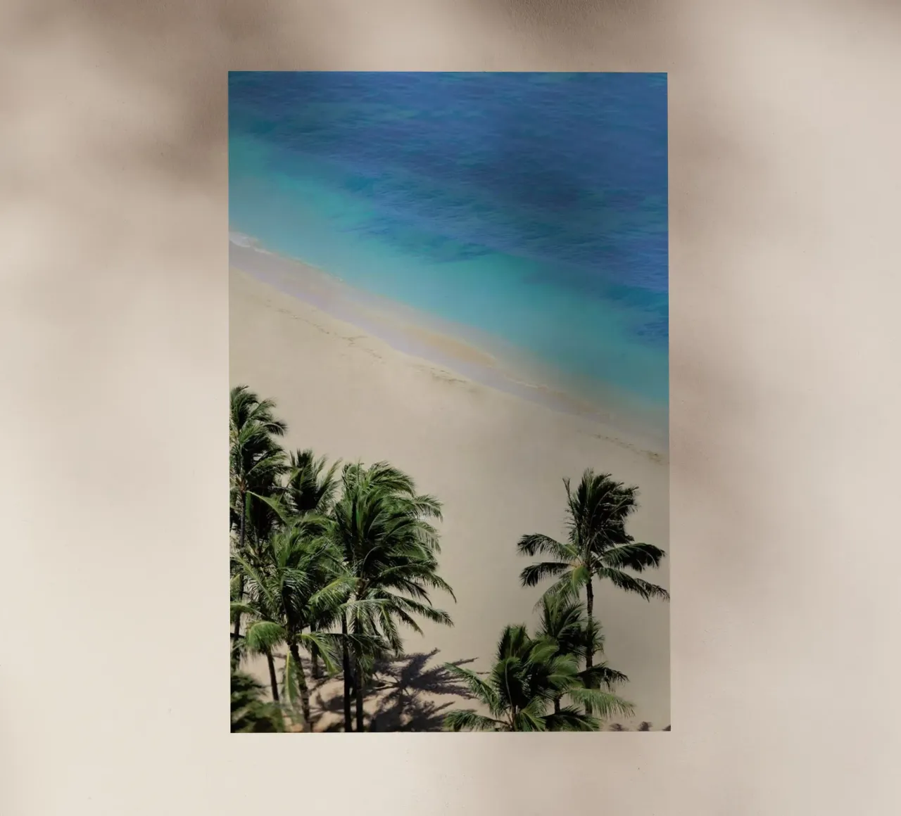 Hawai Dreams pellicola backlit da Leah Flores