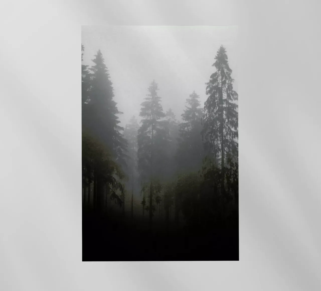 Where backlit folie van Jan Luzar