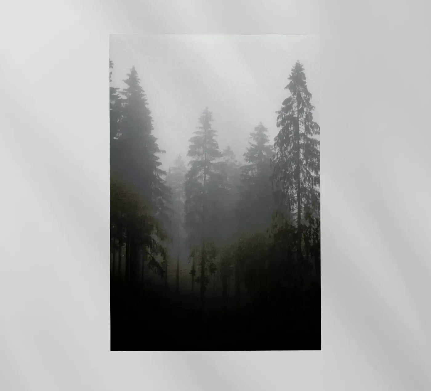 Where pellicola backlit da Jan Luzar