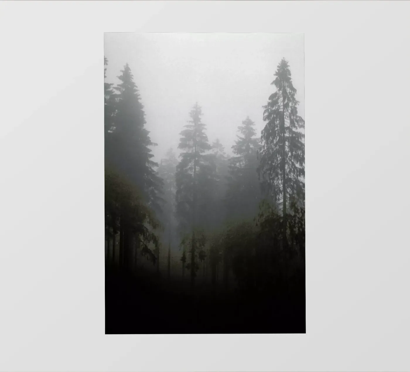 Where pellicola backlit da Jan Luzar