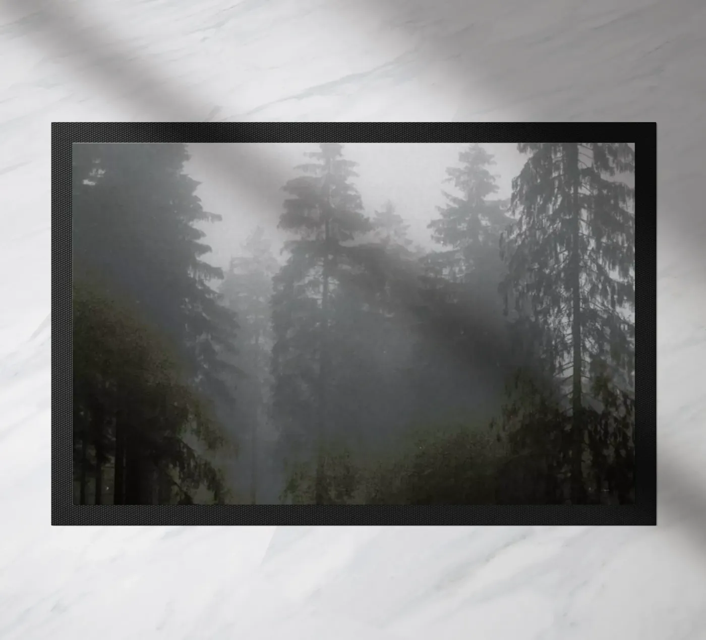 Where zerbino da Jan Luzar