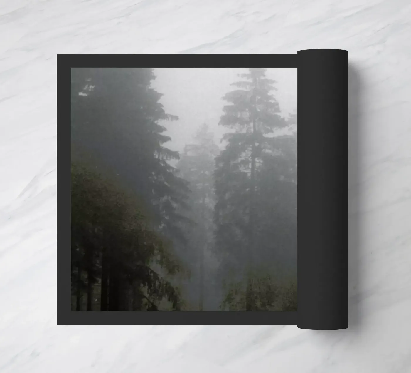 Where zerbino da Jan Luzar