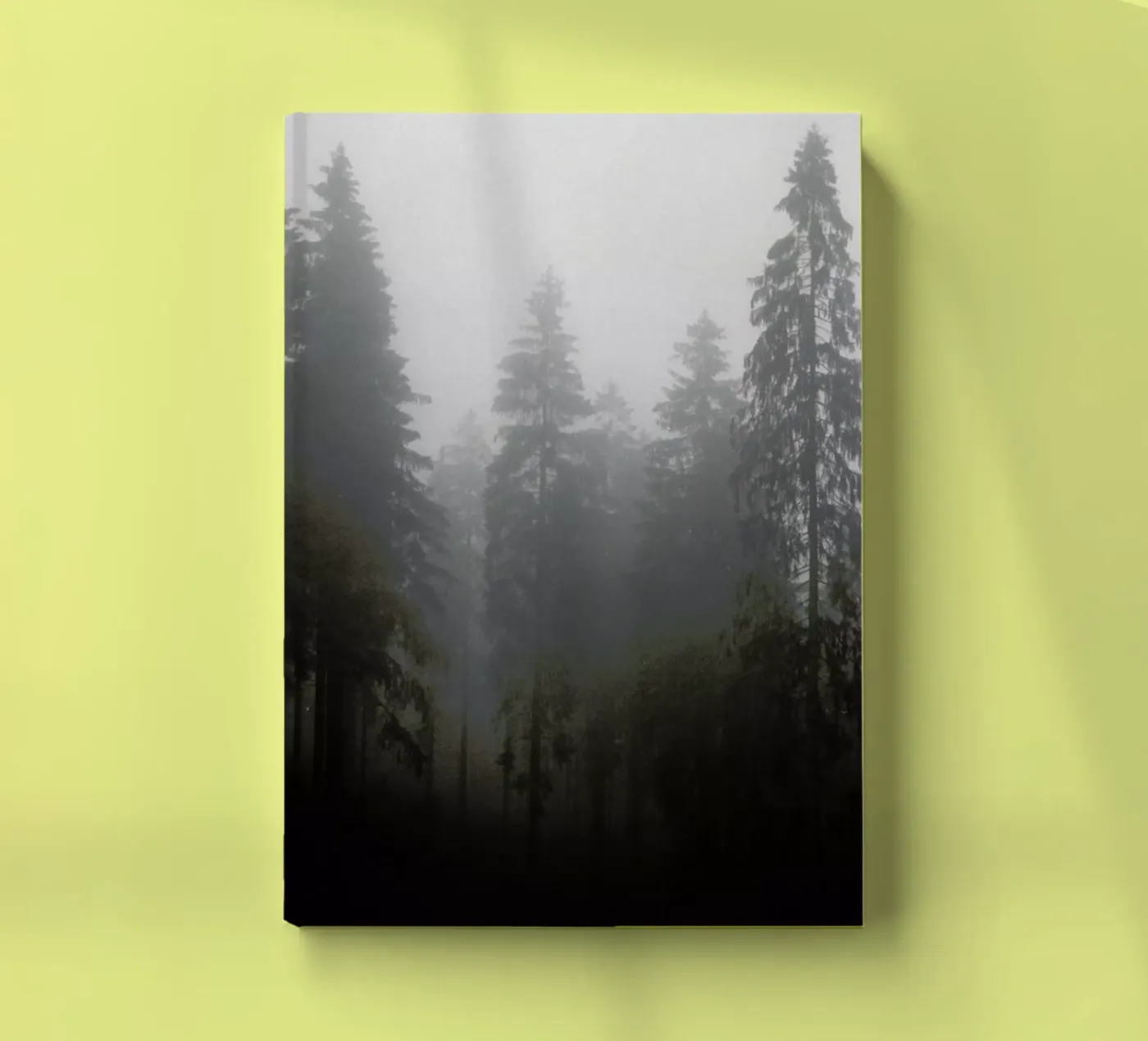 Where notebook by Jan Luzar