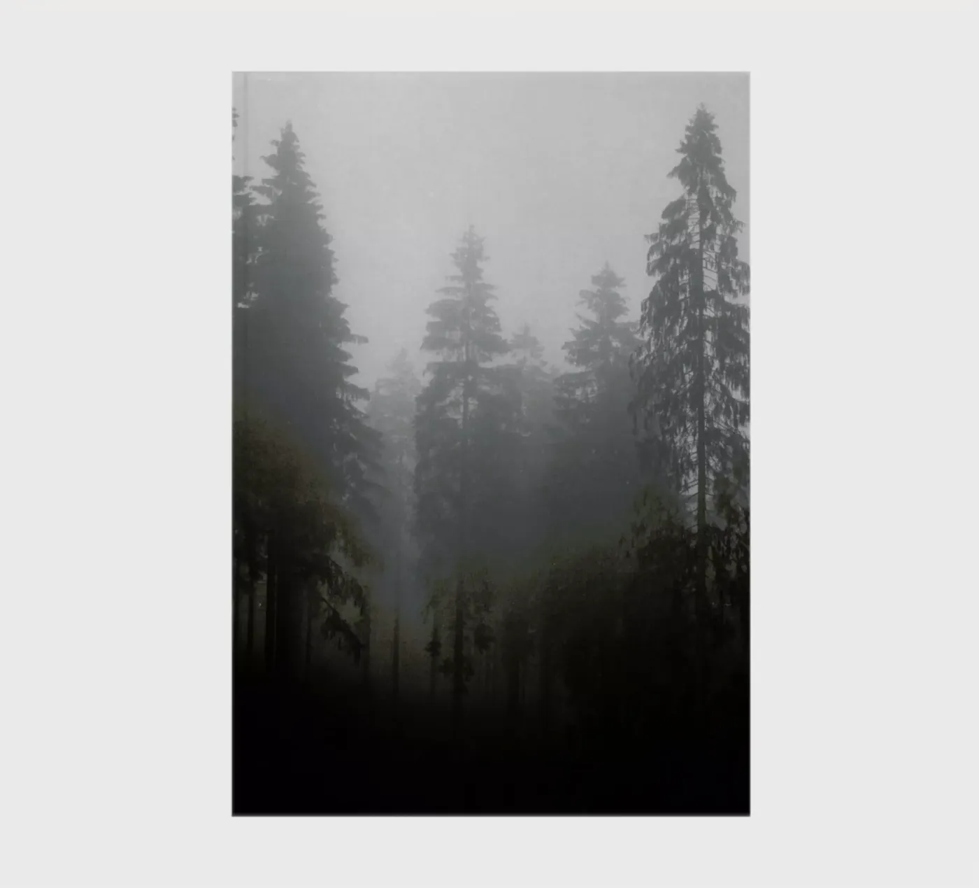 Where notebook by Jan Luzar