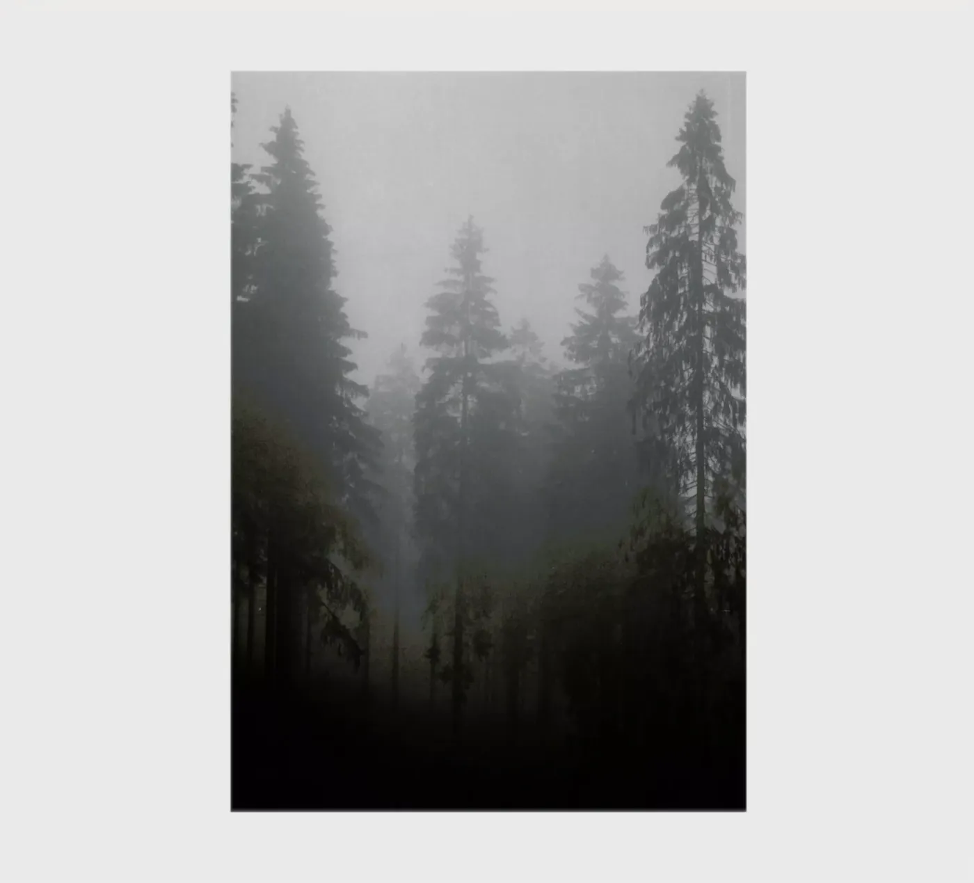 Where notebook by Jan Luzar