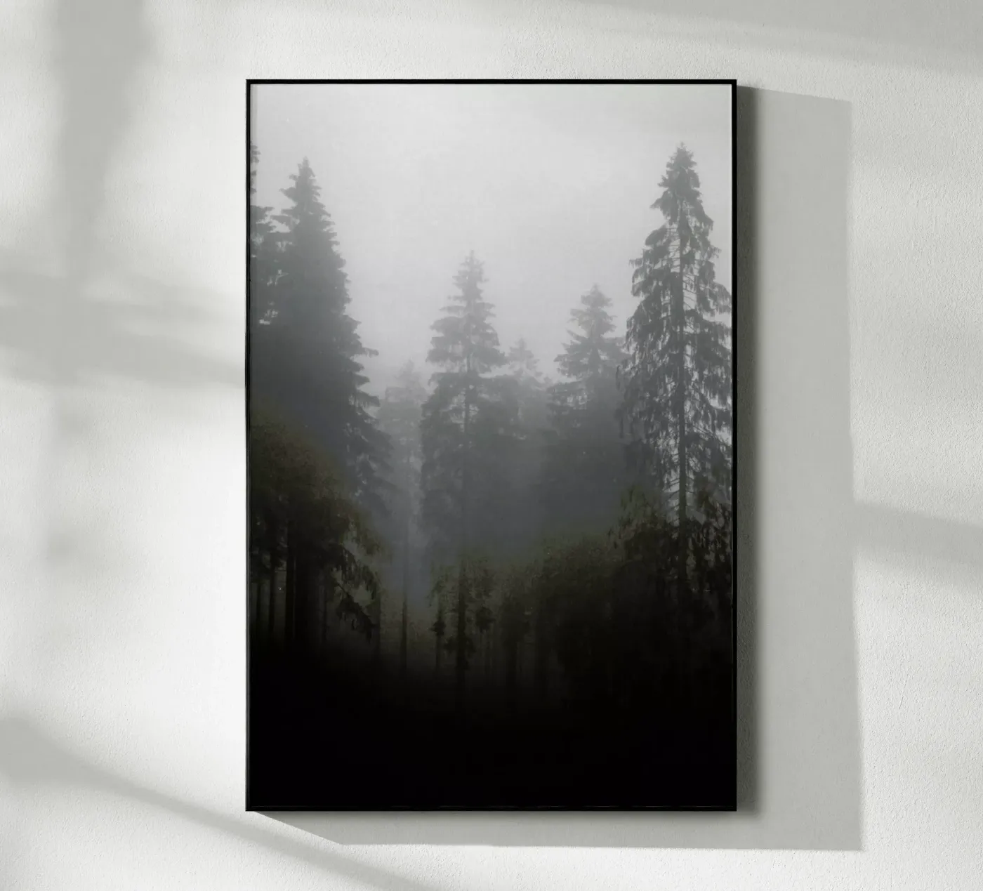 Where plexiglass da Jan Luzar