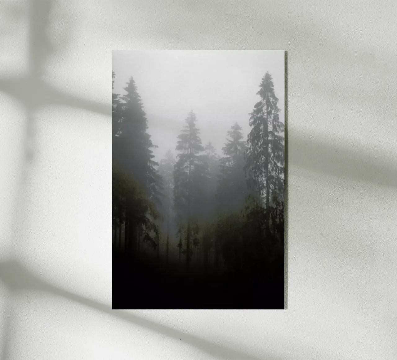 Where plexiglass da Jan Luzar