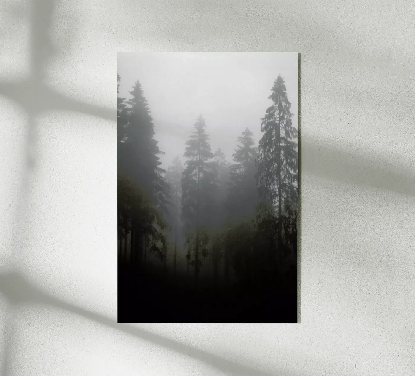 Where plexiglass da Jan Luzar